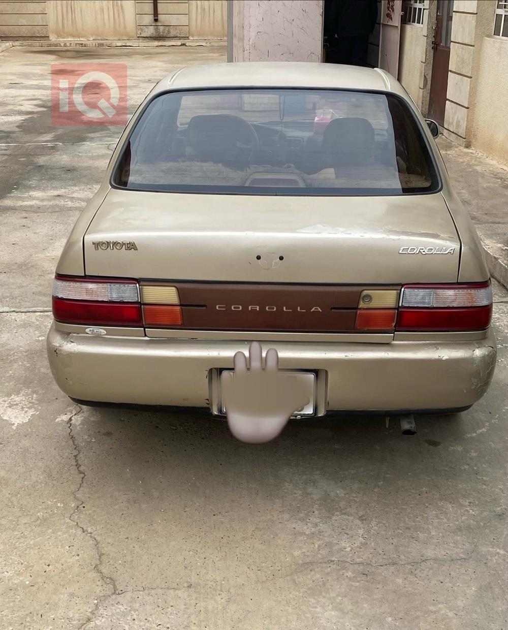 تويوتا كورولا